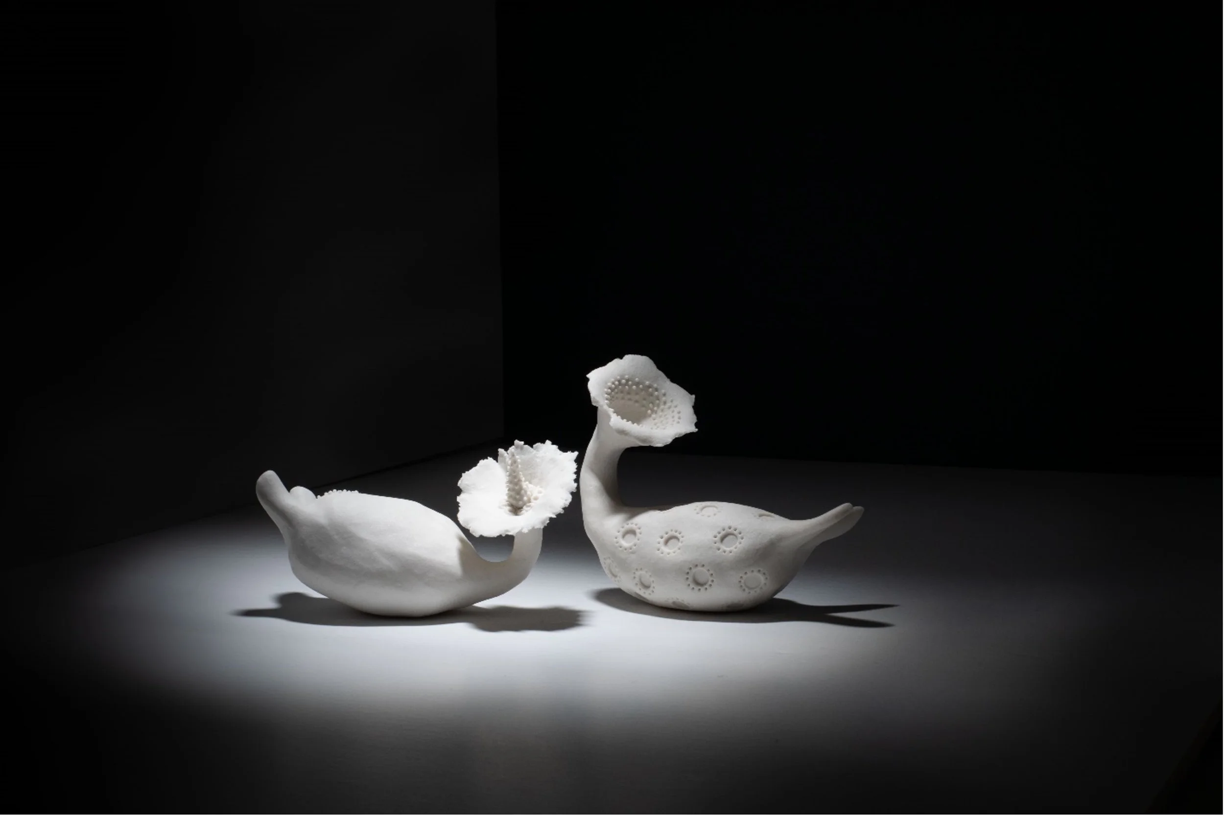 Christie Lange Ceramic Artist Tasmania
